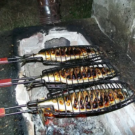 Гостевой дом South Beach Синеморец