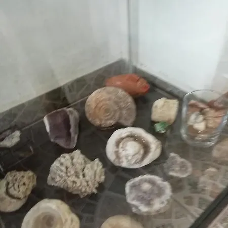 South Beach Гостевой дом