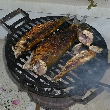 South Beach בית הארחה סינמורץ