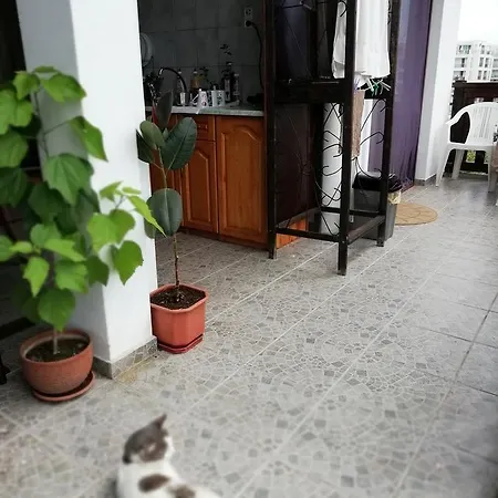 Pensionat South Beach