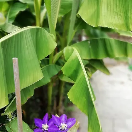 South Beach Pensionat 2*