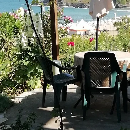South Beach בית הארחה 2*