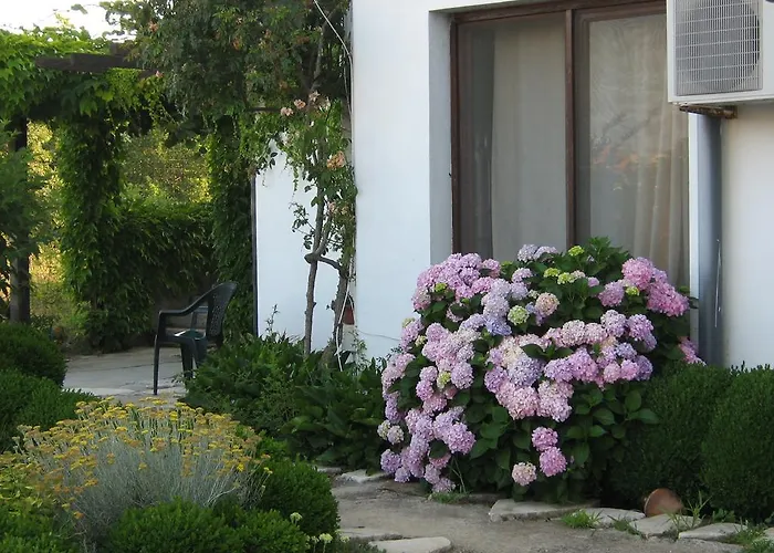 ゲストハウス South Beach