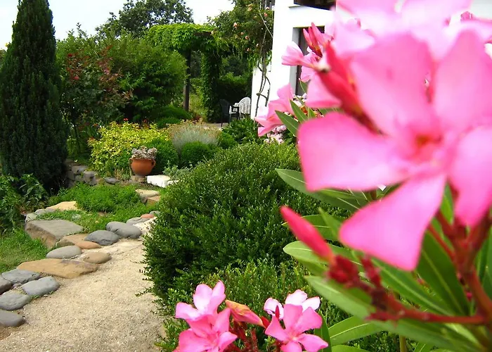 South Beach シネモレツ