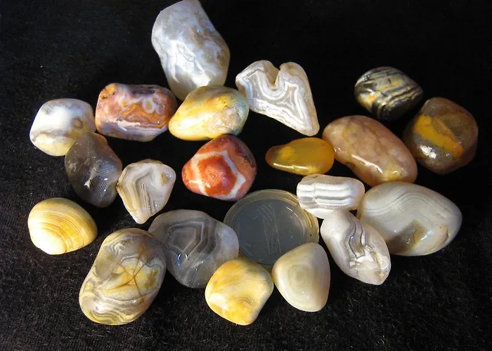 South Beach シネモレツ