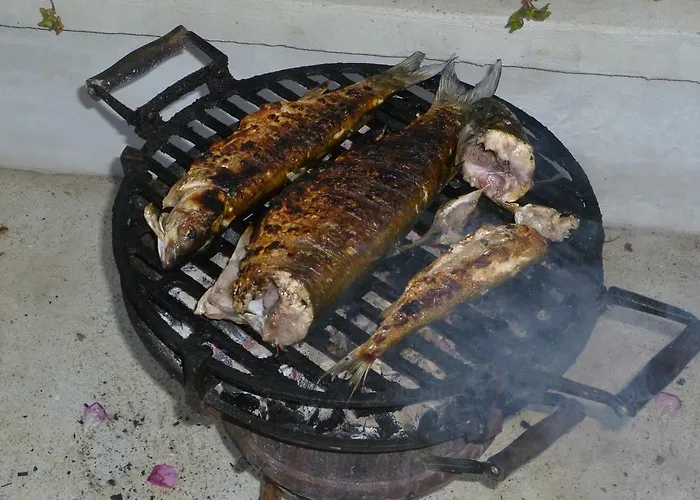 South Beach ゲストハウス シネモレツ