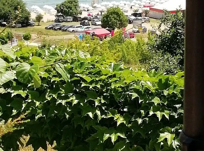 South Beach 2* シネモレツ