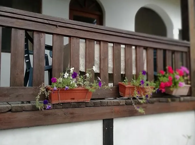 South Beach ゲストハウス シネモレツ