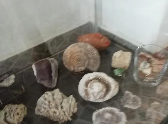 South Beach ゲストハウス