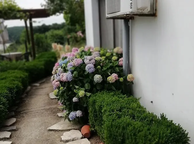 South Beach 2* シネモレツ