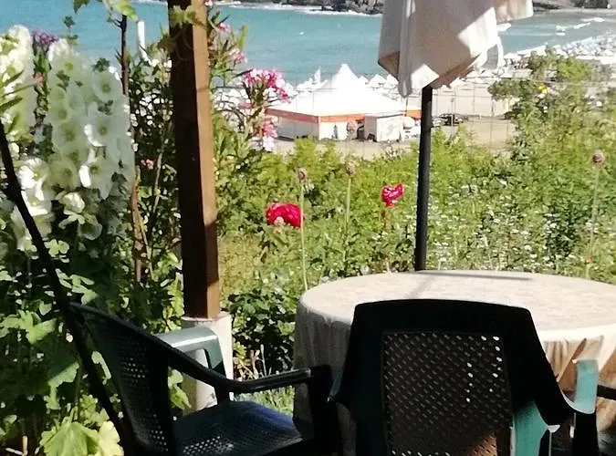 South Beach ゲストハウス シネモレツ