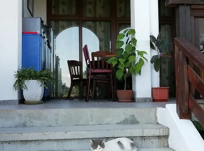 ゲストハウス South Beach シネモレツ