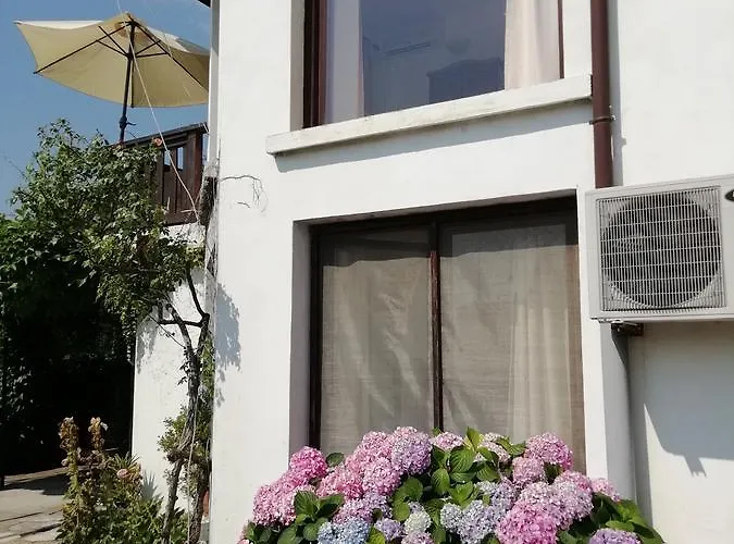 ゲストハウス South Beach 2*