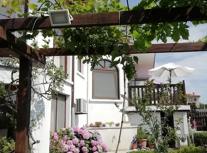 South Beach シネモレツ