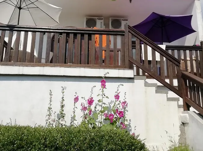 ゲストハウス South Beach 2*