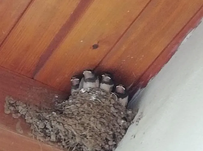 South Beach 2* シネモレツ