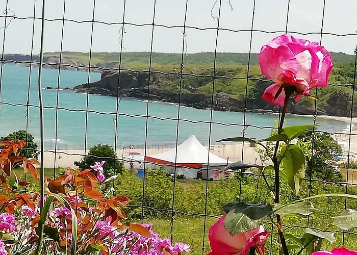 South Beach ゲストハウス シネモレツ